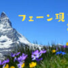 アルプス山脈とお花の写真