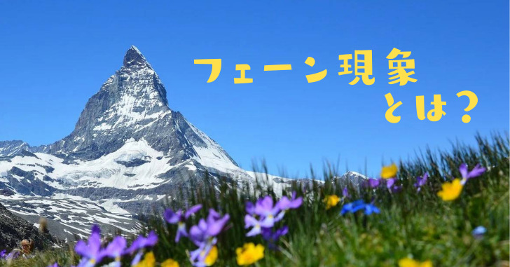 アルプス山脈とお花の写真