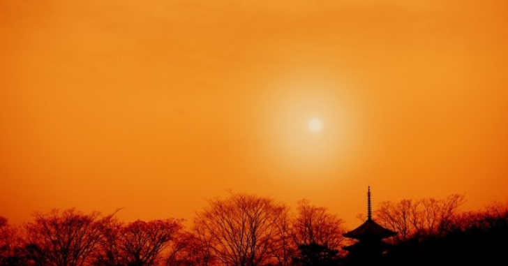 夕暮れの京都の写真
