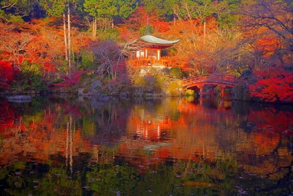 紅葉の季節の醍醐寺の写真